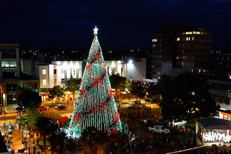 Hamilton Christmas Tree Garden Place 1st December New Year